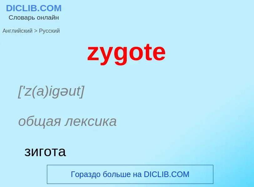 ¿Cómo se dice zygote en Ruso? Traducción de &#39zygote&#39 al Ruso