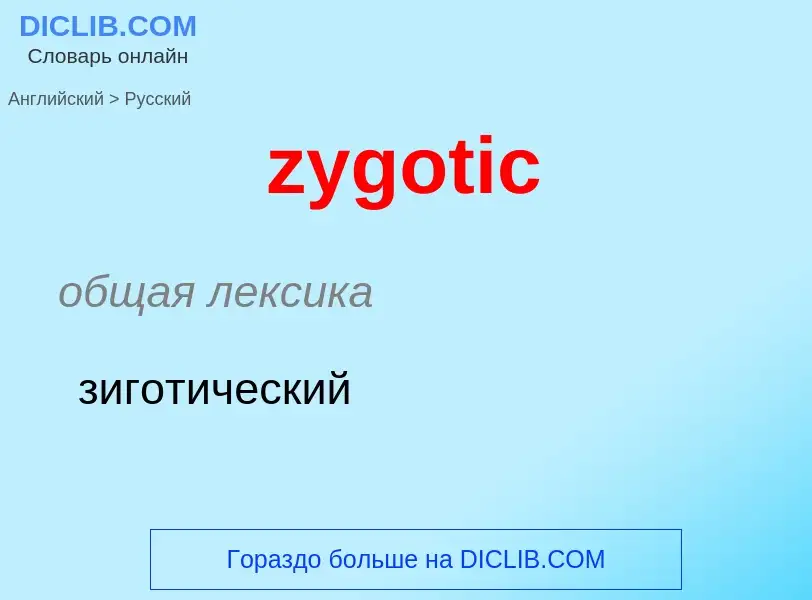 Как переводится zygotic на Русский язык