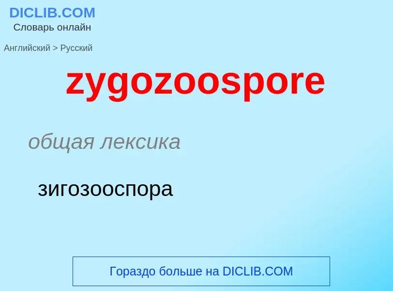 Como se diz zygozoospore em Russo? Tradução de &#39zygozoospore&#39 em Russo