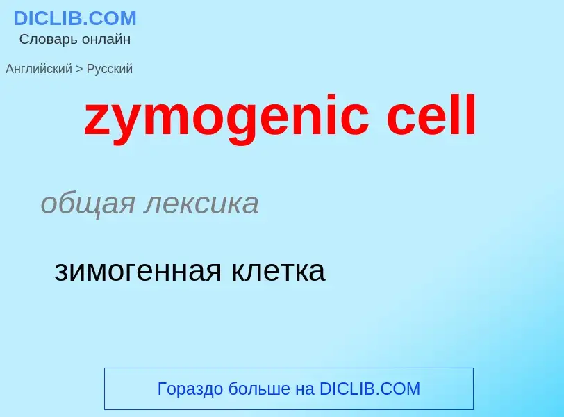 Como se diz zymogenic cell em Russo? Tradução de &#39zymogenic cell&#39 em Russo