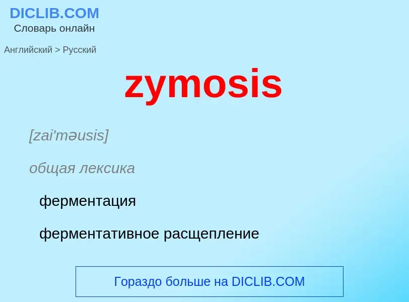 Vertaling van &#39zymosis&#39 naar Russisch