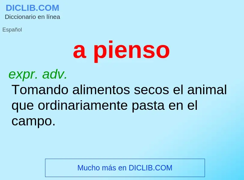 What is a pienso - definition