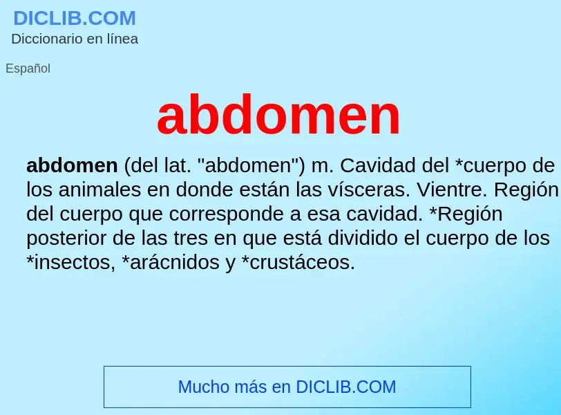 What is abdomen - definition