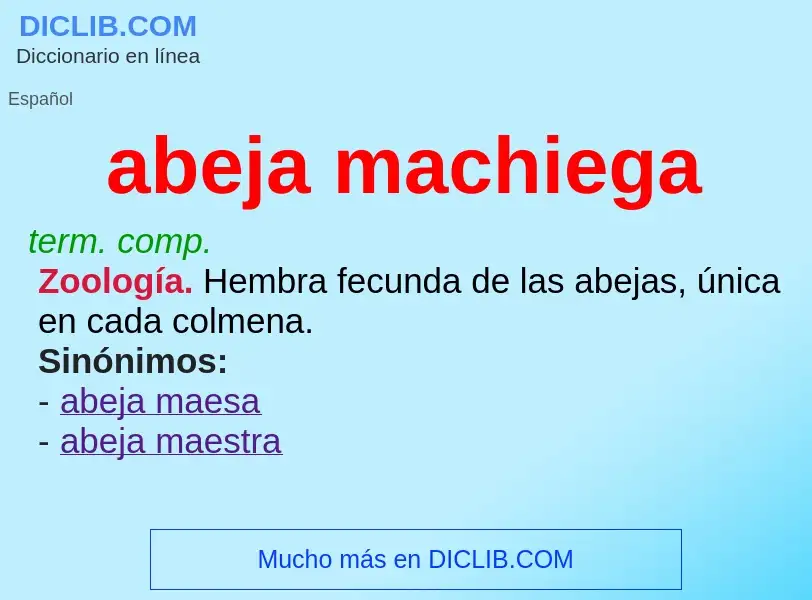 What is abeja machiega - definition