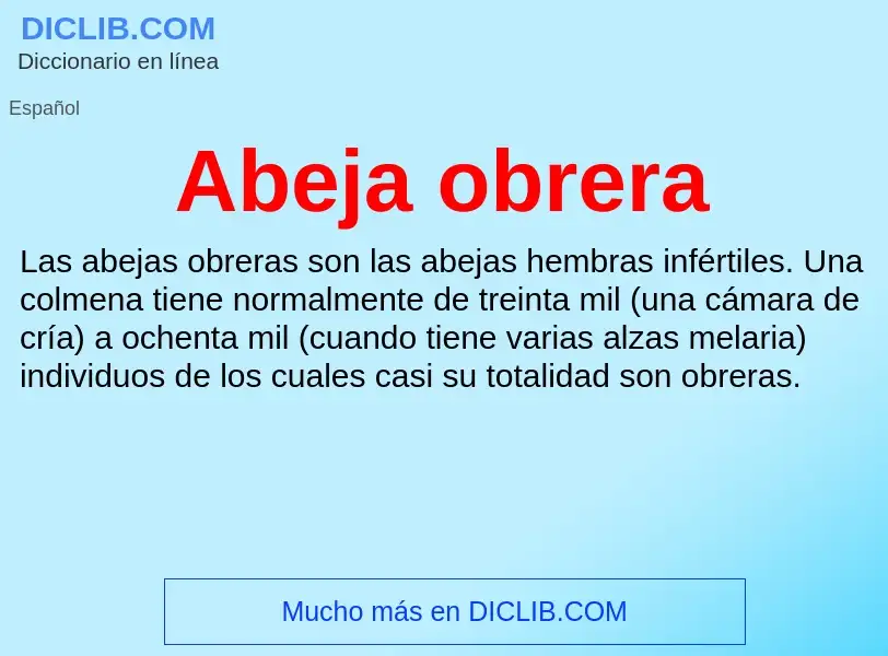 What is Abeja obrera - definition