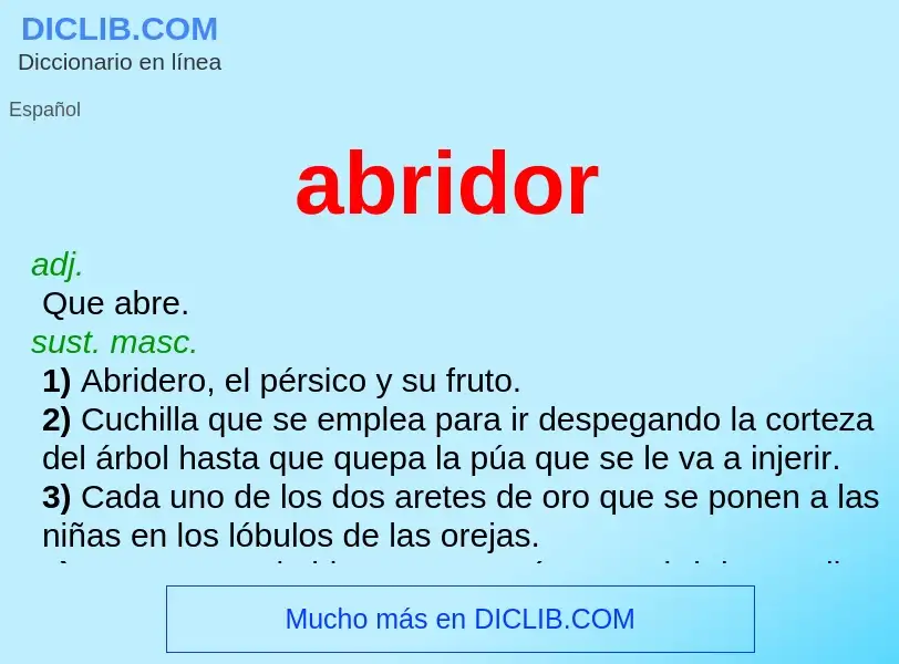 What is abridor - meaning and definition