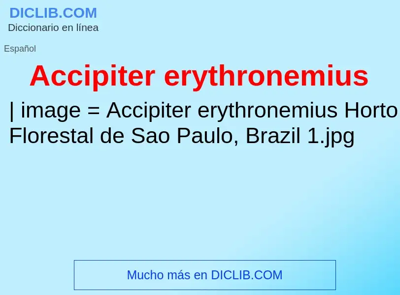 O que é Accipiter erythronemius - definição, significado, conceito