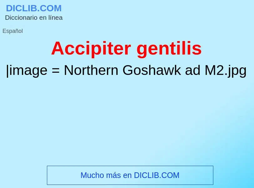 Wat is Accipiter gentilis - definition