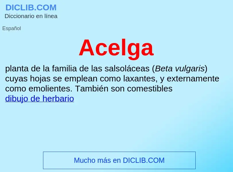 ¿Qué es Acelga? - significado y definición