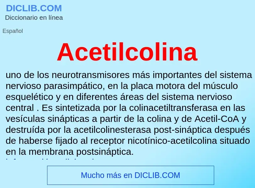 ¿Qué es Acetilcolina? - significado y definición