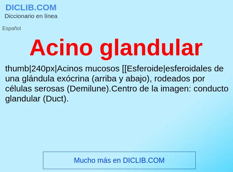 Wat is Acino glandular - definition