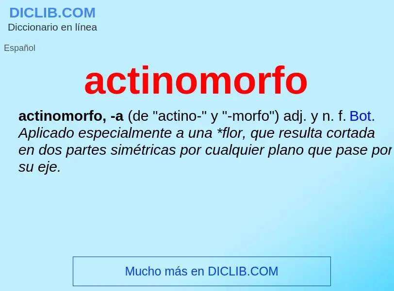 Was ist actinomorfo - Definition