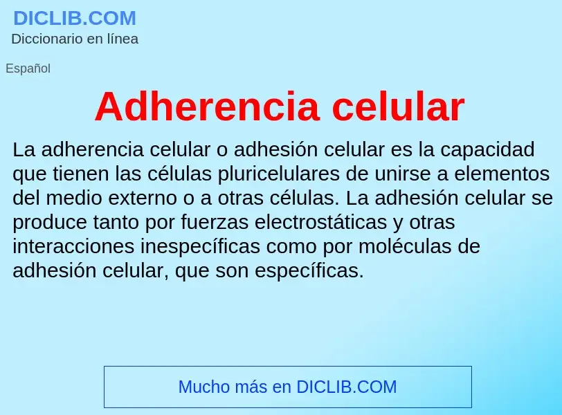 What is Adherencia celular - meaning and definition