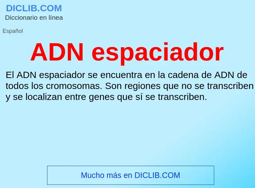 ¿Qué es ADN espaciador? - significado y definición