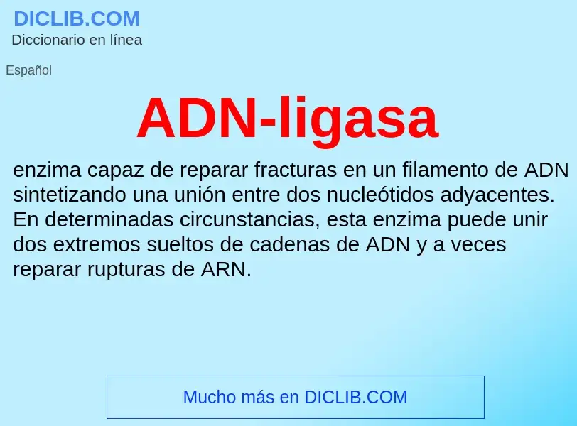 What is ADN-ligasa - definition