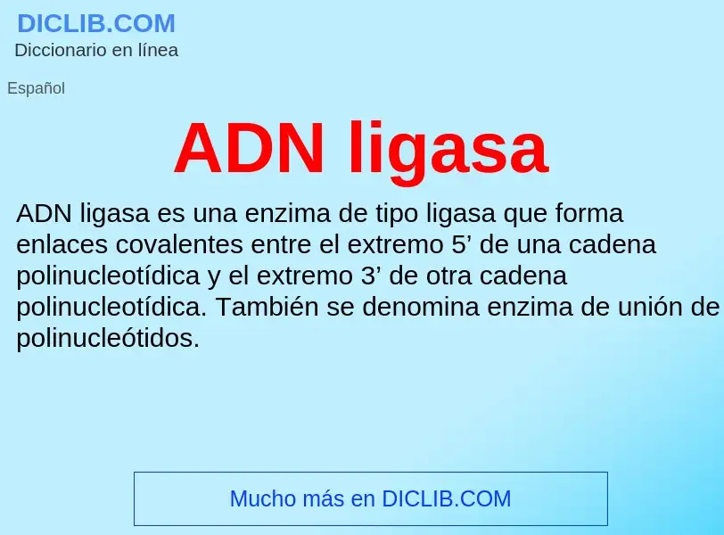 What is ADN ligasa - definition