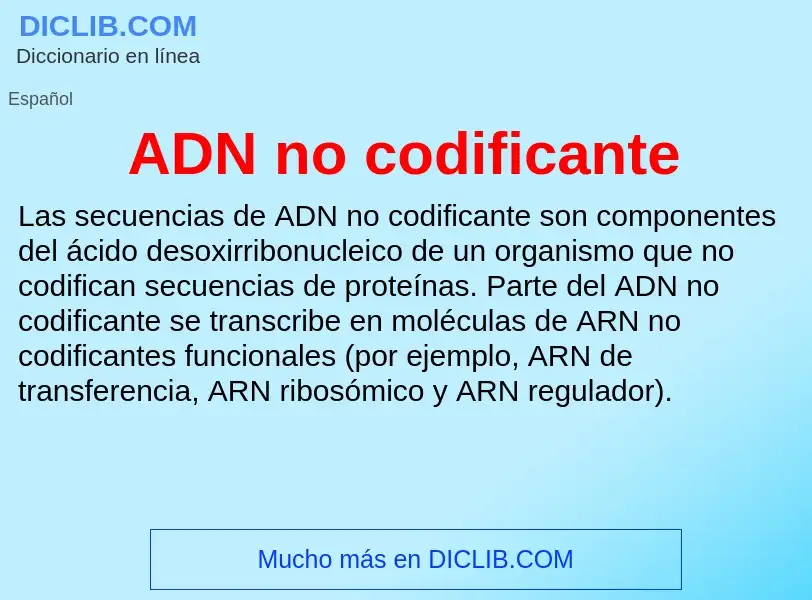 What is ADN no codificante - definition