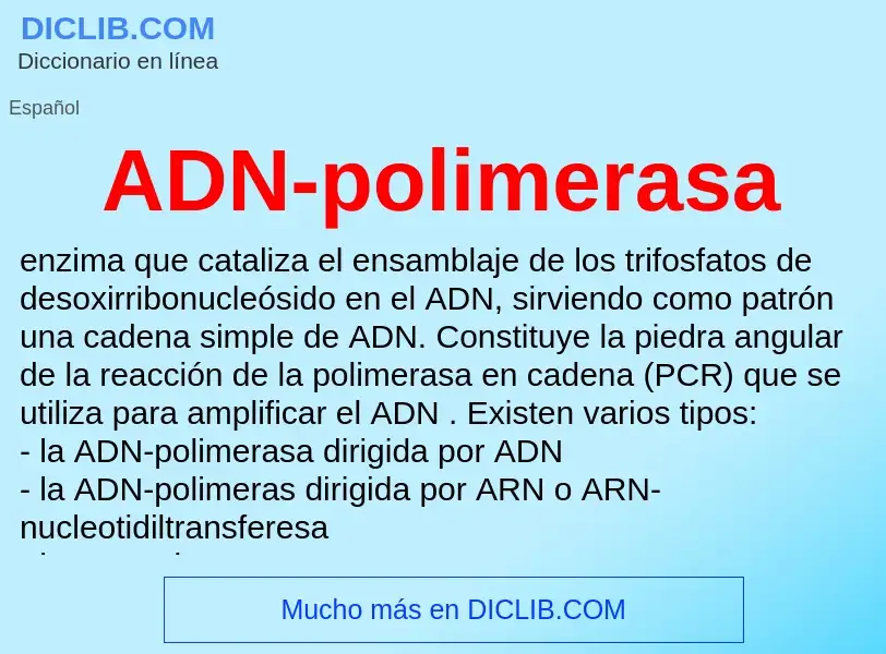 What is ADN-polimerasa - definition