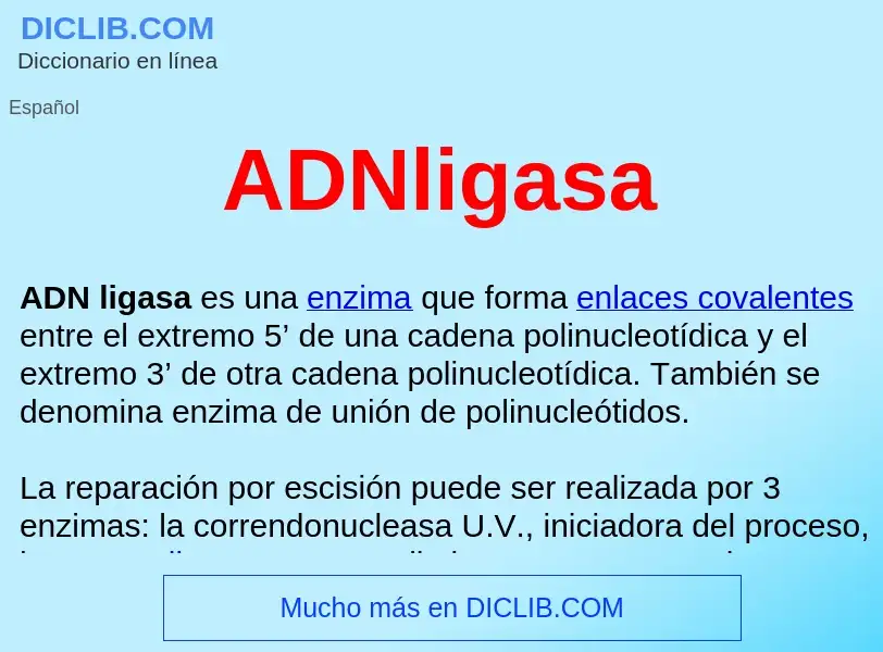 ¿Qué es ADNligasa ? - significado y definición