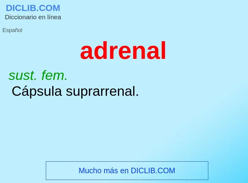 Was ist adrenal - Definition