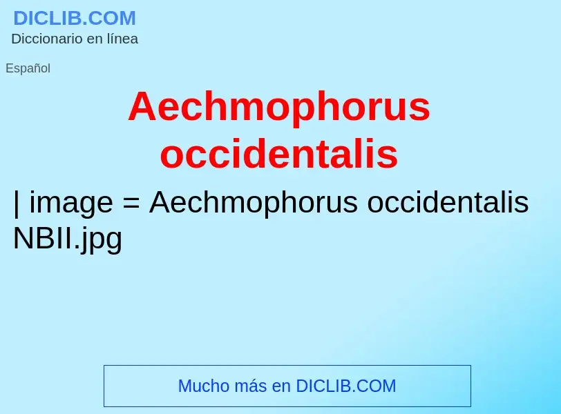 Che cos'è Aechmophorus occidentalis - definizione