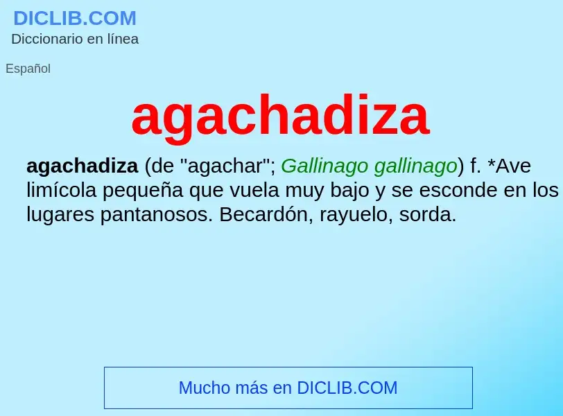 What is agachadiza - meaning and definition