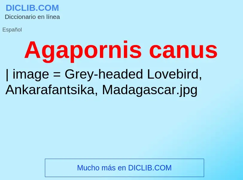 Что такое Agapornis canus - определение