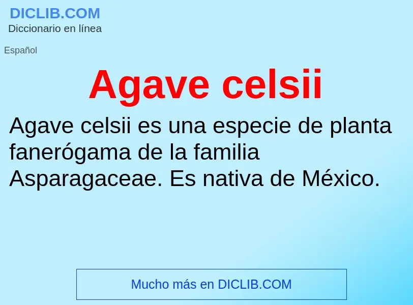 What is Agave celsii - meaning and definition