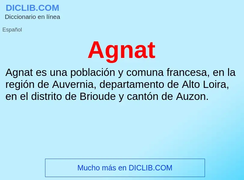 ¿Qué es Agnat? - significado y definición