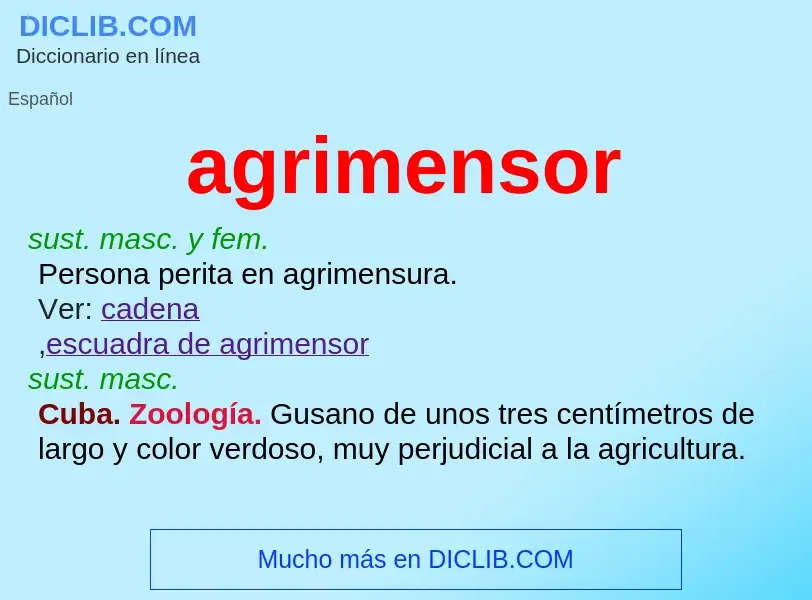 What is agrimensor - definition