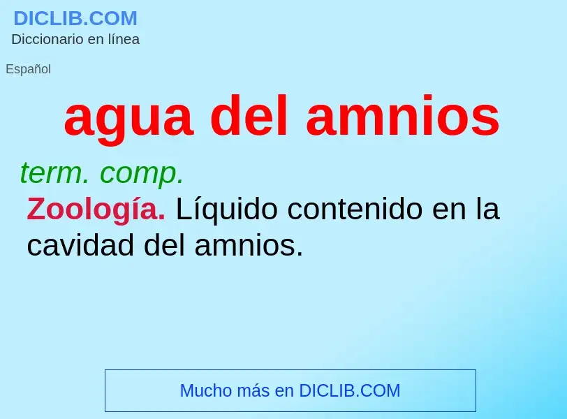 ¿Qué es agua del amnios? - significado y definición