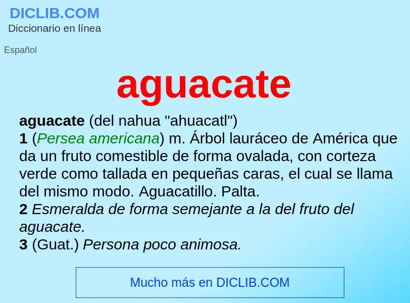 Was ist aguacate - Definition