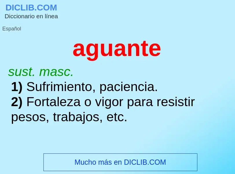 Wat is aguante - definition