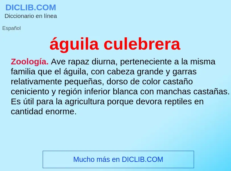 ¿Qué es águila culebrera? - significado y definición