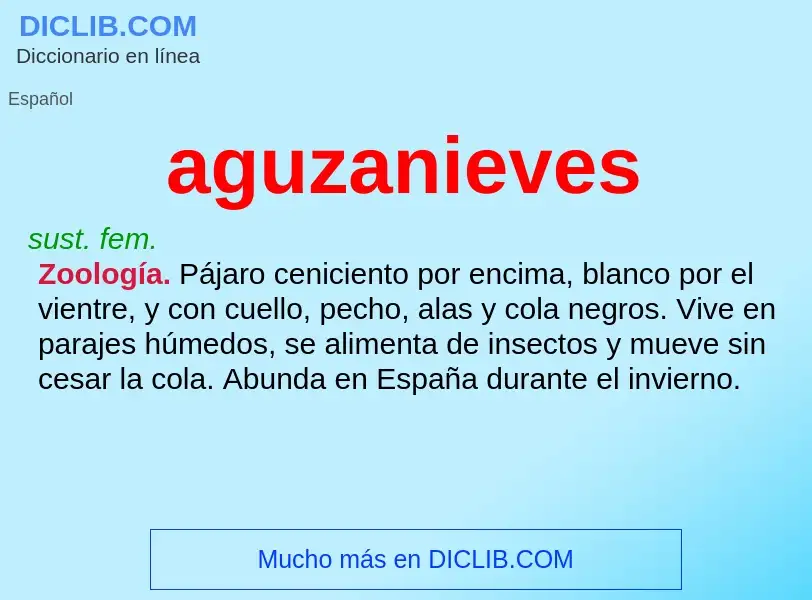 ¿Qué es aguzanieves? - significado y definición