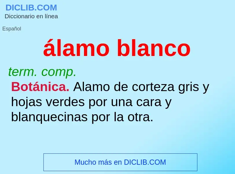 What is álamo blanco - meaning and definition