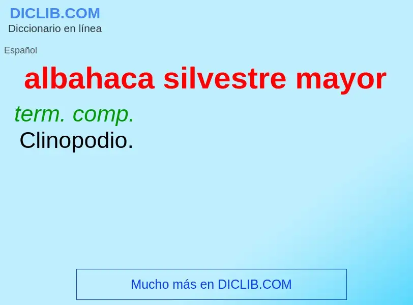 Wat is albahaca silvestre mayor - definition