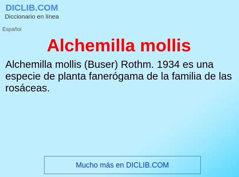 O que é Alchemilla mollis - definição, significado, conceito