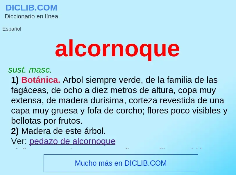 Was ist alcornoque - Definition