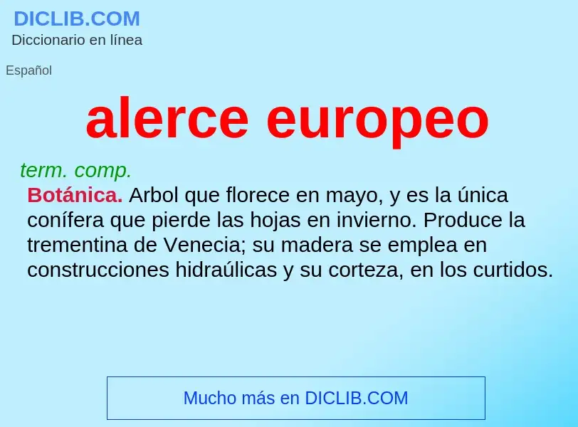 What is alerce europeo - meaning and definition