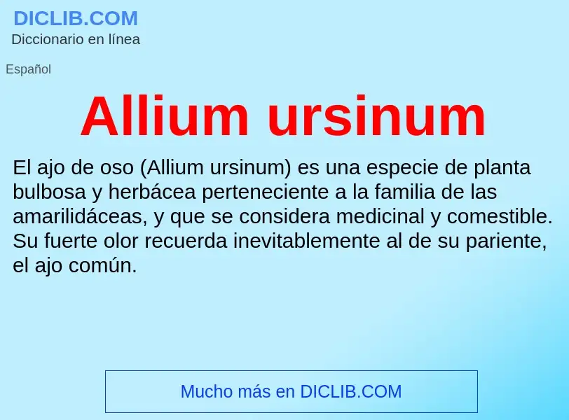 Что такое Allium ursinum - определение