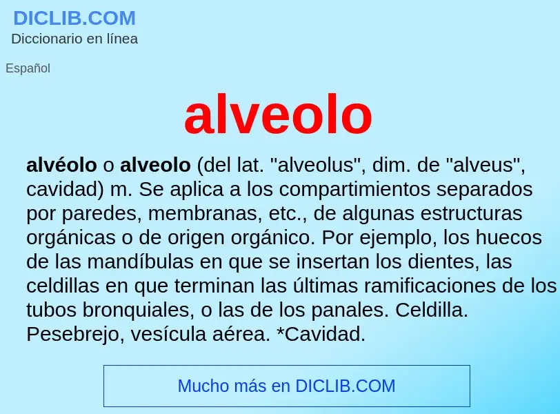 ¿Qué es alveolo? - significado y definición