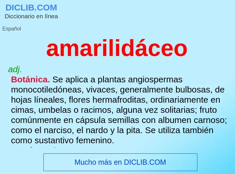 ¿Qué es amarilidáceo? - significado y definición