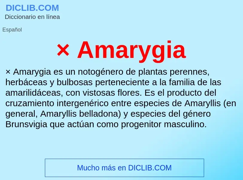 Wat is × Amarygia - definition