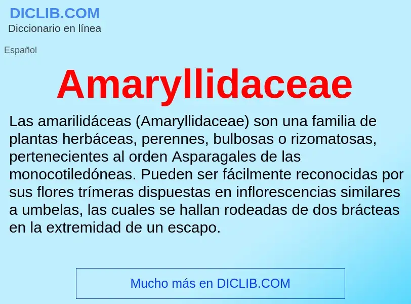 ¿Qué es Amaryllidaceae? - significado y definición