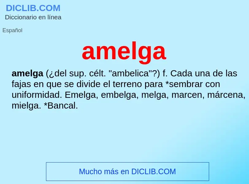 ¿Qué es amelga? - significado y definición