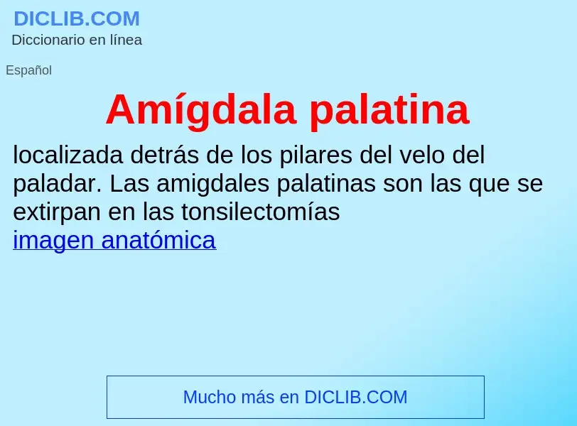 ¿Qué es Amígdala palatina? - significado y definición