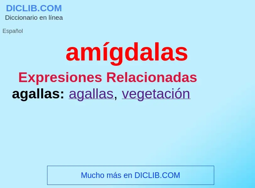 What is amígdalas - definition