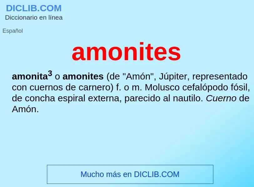 ¿Qué es amonites? - significado y definición