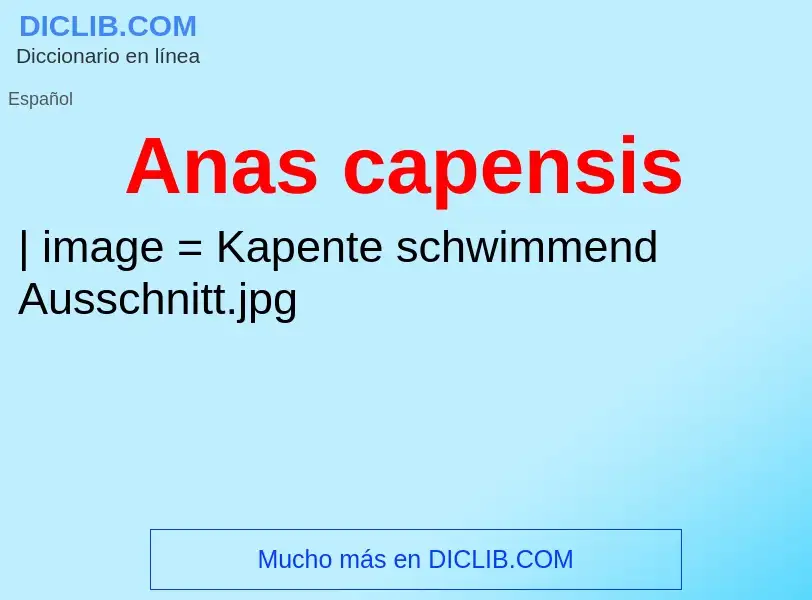 Wat is Anas capensis - definition